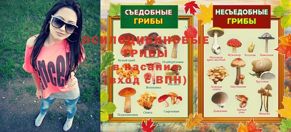 ALPHA-PVP Горняк