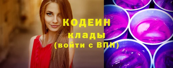 индика Бабаево