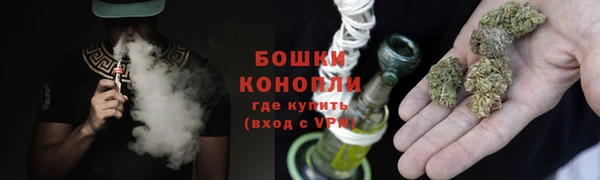 индика Бабаево