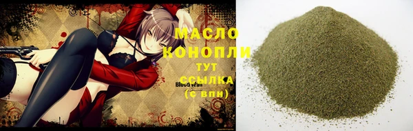 индика Бабаево