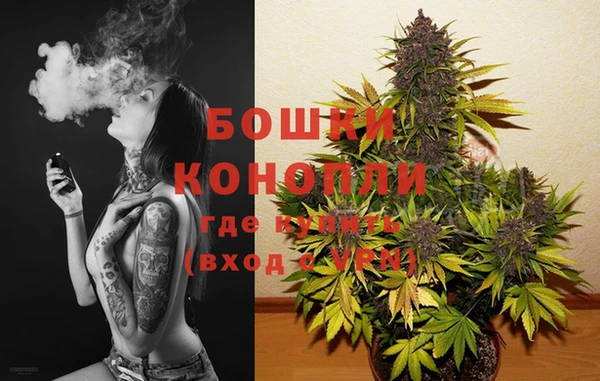 индика Бабаево