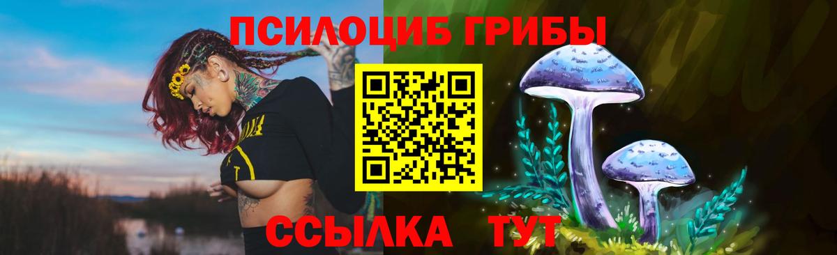 Псилоцибиновые грибы ЛСД  Вход с VPN  где купить наркоту  Десногорск 